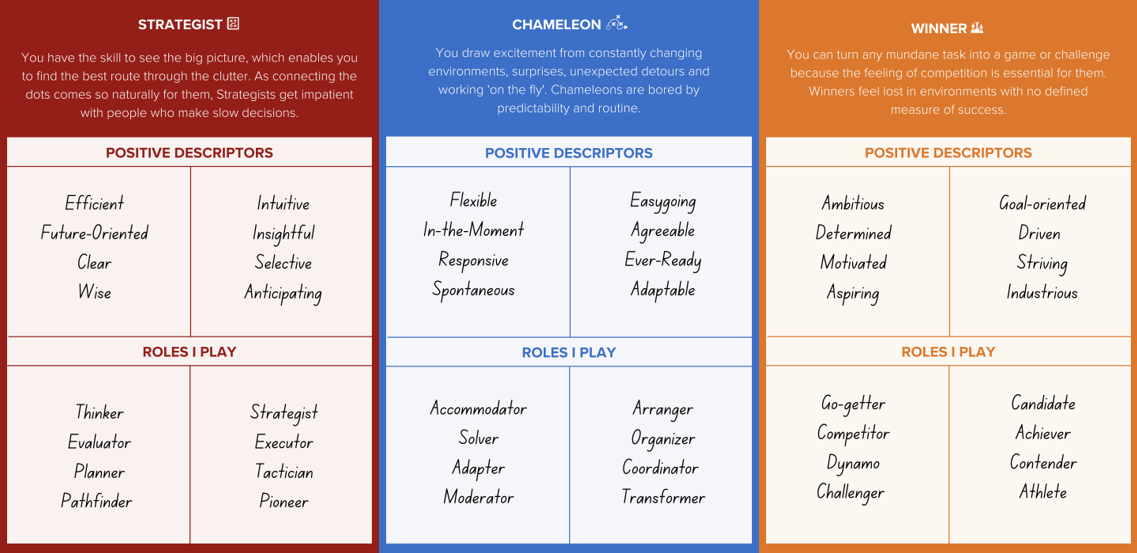 High5 Strengths Description Cards - thumbnail